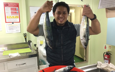 Introduction of the Recreation Introduction of the Recreation